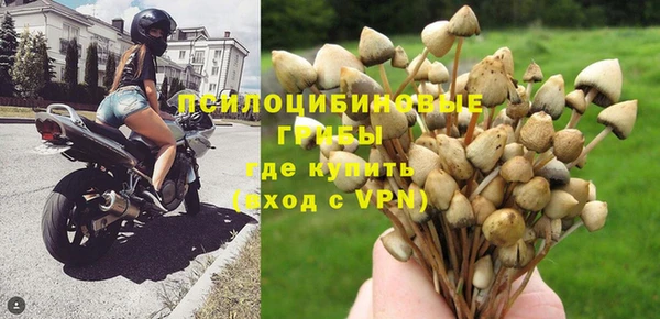 спайс Алзамай