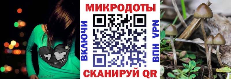 kraken ссылки  Новокубанск  Галлюциногенные грибы Cubensis  наркошоп 