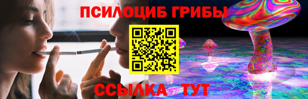 наркотики  Псилоцибиновые грибы мицелий  Вход с VPN  Новокубанск 