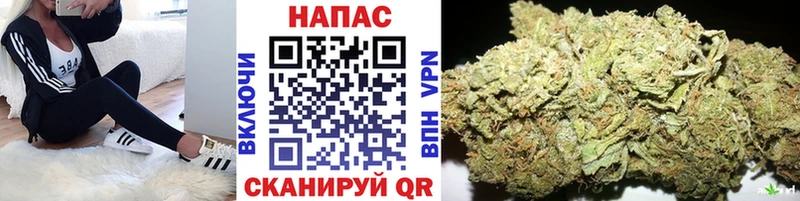 купить   Новокубанск  Конопля тримм 